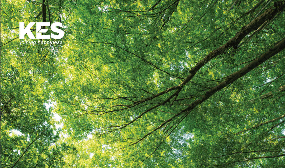 kestrees